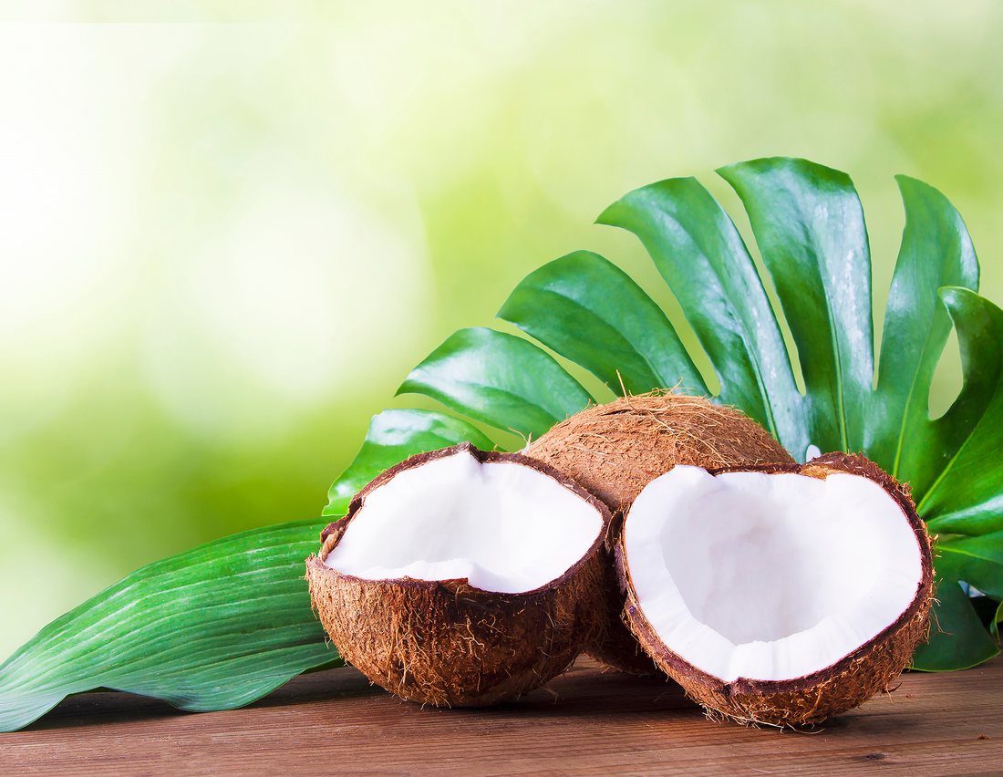 Toasted Coconut White Loose Leaf