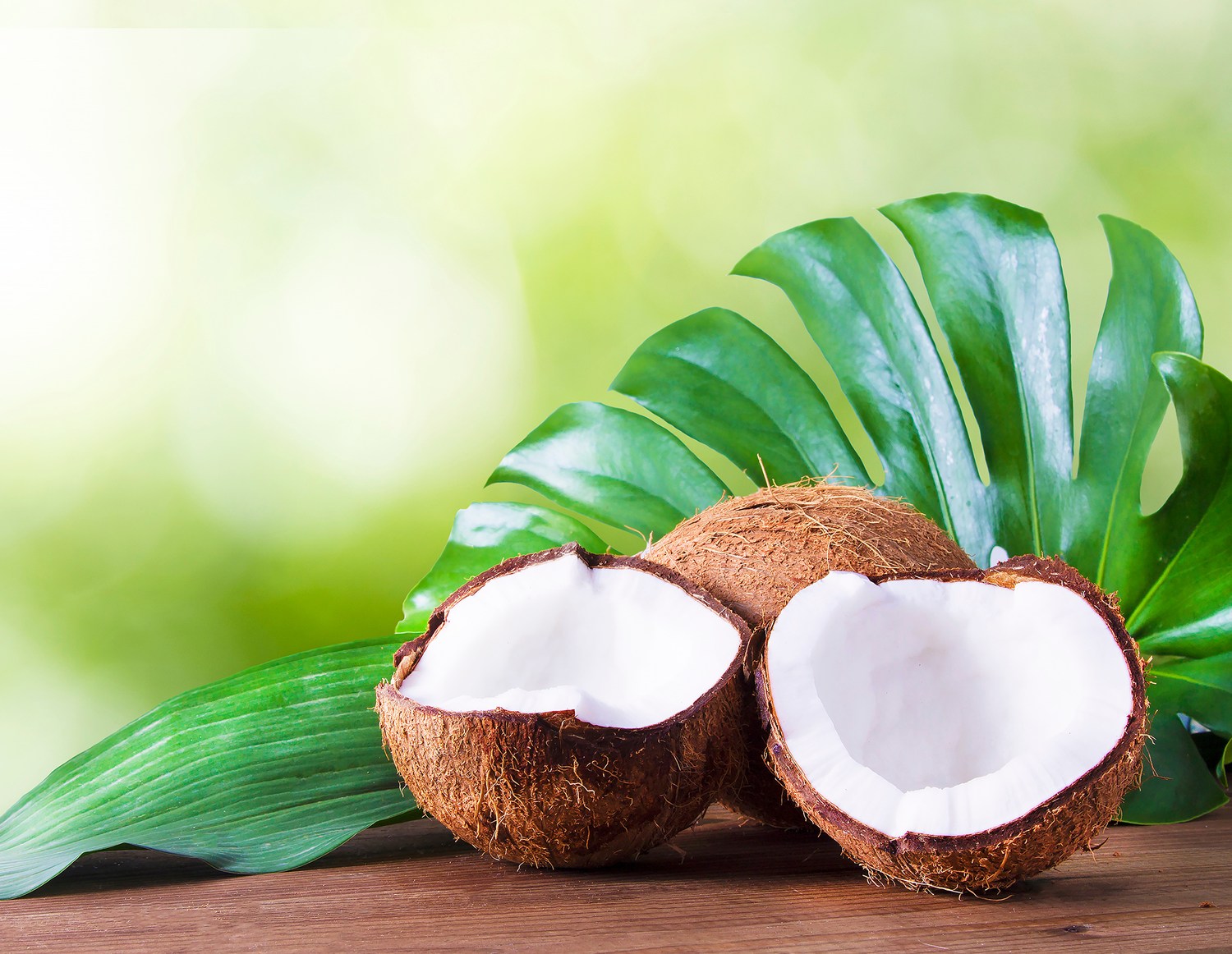 Toasted Coconut White Loose Leaf