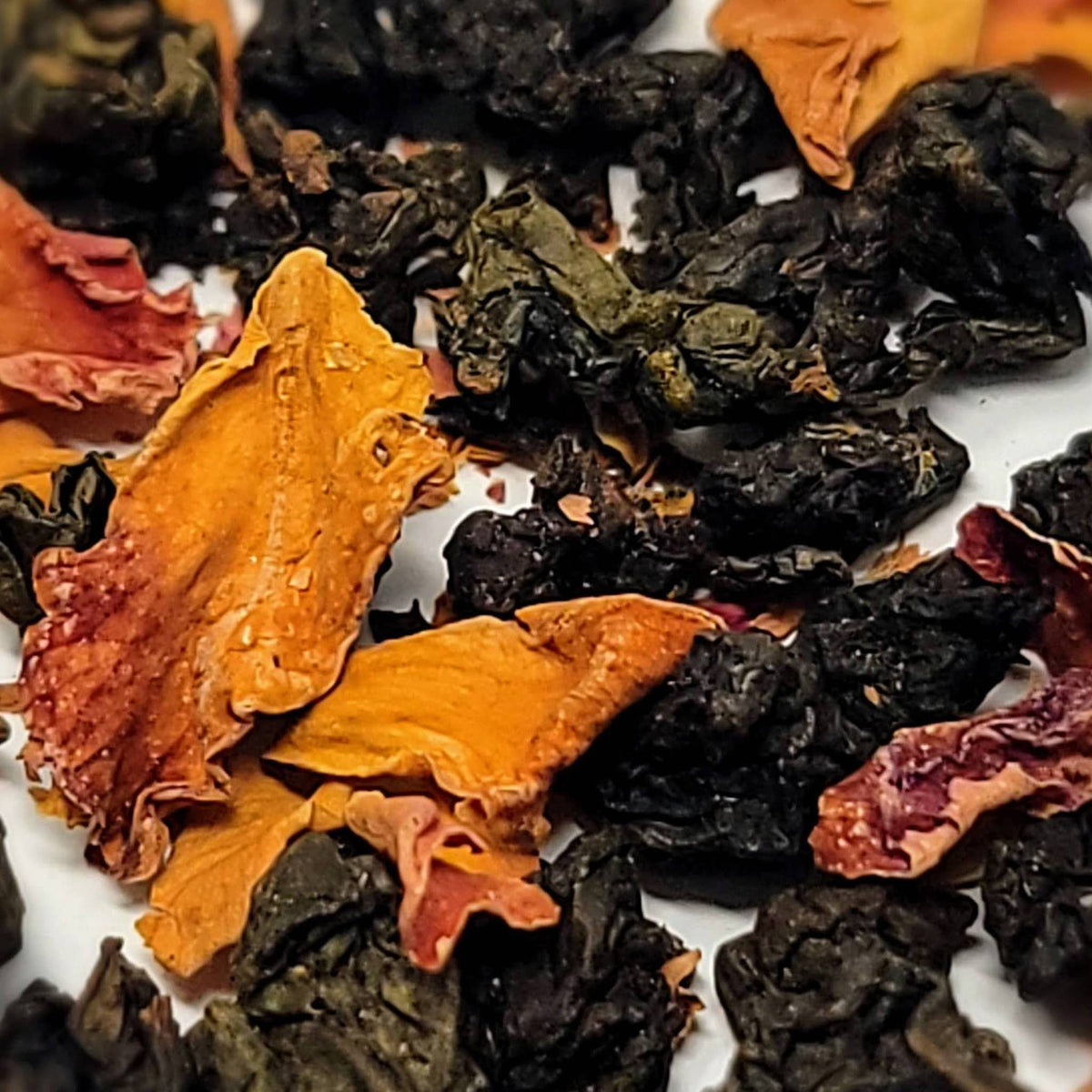The Oolong Bundle